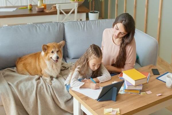Homeschooling Tips for Busy Folks ans Dog Homemaking