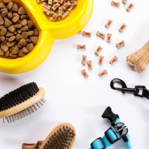 Top 10 Pet Grooming Products Recommended by Professionals
