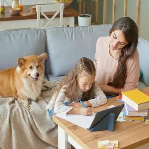 Boys and A Dog Homemaking Homeschooling Tips for Busy Folks